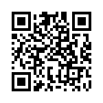 BFC233840333 QRCode