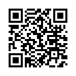 BFC233841333 QRCode