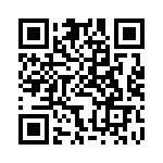 BFC236855333 QRCode