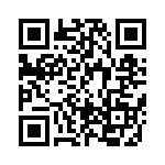 BFC238331333 QRCode