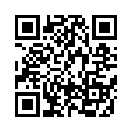 BFC238334913 QRCode