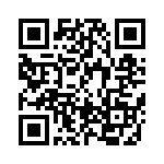 BFC238343242 QRCode