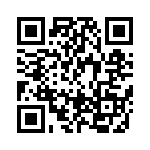 BFC238580202 QRCode