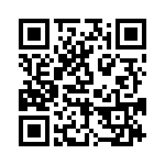 BFC241642404 QRCode