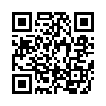 BFC242001304 QRCode