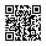 BFC246704823 QRCode