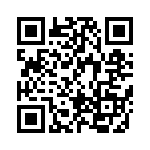 BFC247041333 QRCode