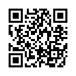 BFC247942334 QRCode