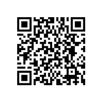 BKT-107-04-FM-V QRCode