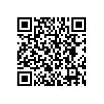 BKT-119-02-L-V-A-P-TR QRCode