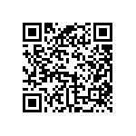 BKT-119-04-FM-V QRCode