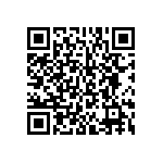 BKT-131-02-L-V-S-P QRCode