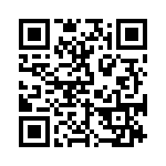 BKT-131-03-L-V QRCode