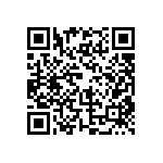 BKT-131-04-L-V-P QRCode