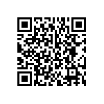 BKT-133-02-F-V-S QRCode