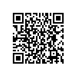 BKT-141-01-L-V-S-P QRCode