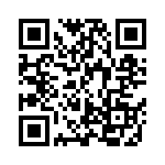 BKT-141-04-L-V QRCode