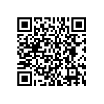 BKT-151-01-L-V-A-P QRCode