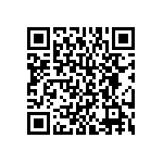 BKT-151-01-L-V-S QRCode