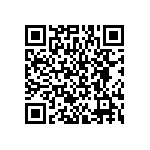 BKT-151-04-L-V-P-TR QRCode