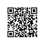 BKT-153-01-L-V-S-TR QRCode