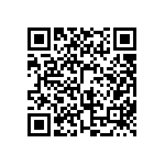 BKT-153-03-L-V-S-A-TR QRCode