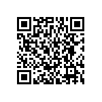 BKT-161-01-L-V-S-TR QRCode