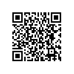 BKT-161-02-L-V-A-P QRCode