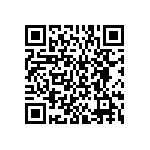 BKT-161-04-L-V-S-P QRCode