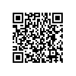 BKT-163-01-L-V-P-TR QRCode