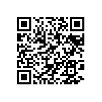 BKT-167-04-F-V-P-TR QRCode