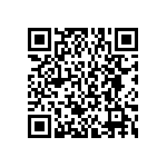 BKT-167-04-L-V-S-A-P-TR QRCode