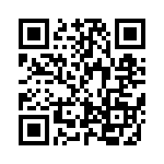 BQ294703DSGT QRCode