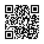 BSP51 QRCode