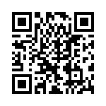 BYD13JGP-E3-73 QRCode