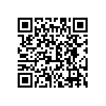 BYT28B-300-E3-81 QRCode