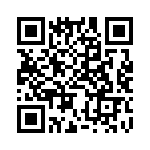 BZH09-Z0000-02 QRCode