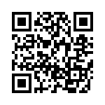 BZT55B24-L1G QRCode