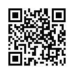 BZT55B2V4-L0G QRCode