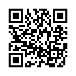 BZT55B33-GS08 QRCode