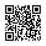 BZT55B3V9-L0G QRCode