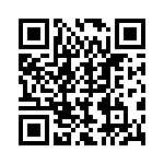 BZT55B8V2-GS08 QRCode