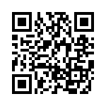 BZT55C16-GS08 QRCode