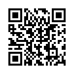 BZT55C2V4-GS08 QRCode