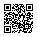 BZT55C33-L1G QRCode