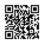 BZT55C4V3-L0G QRCode