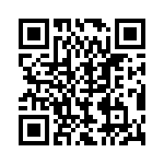 BZT55C4V3-L1G QRCode