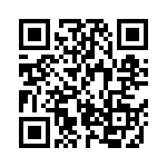 BZV03-Z0000-06 QRCode