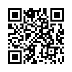 BZV04-B0633-04 QRCode