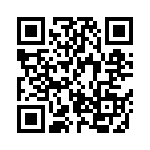 BZV09-Z0000-04 QRCode